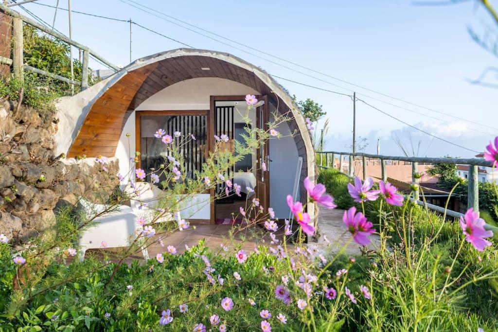 Espacio Antares Icod De Los Vinos Ngoại thất bức ảnh
